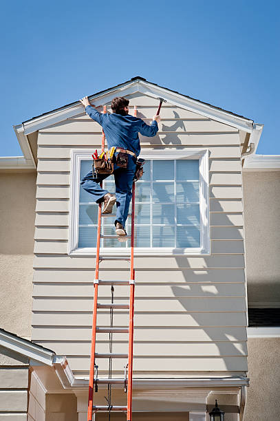 Affordable Siding Repair and Maintenance Services in Cabool, MO